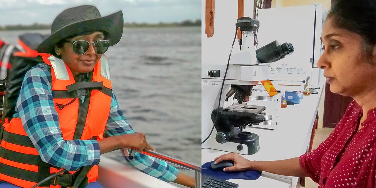 From the field to the lab: Dr Shirani Widana Gamage, Senior Lecturer, Botany, at the University of Ruhuna, is developing solutions to critical water pollution issues in Sri Lanka.