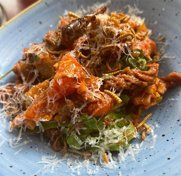 Insect delicacy (Credit: Dr Argang Ghadiri)