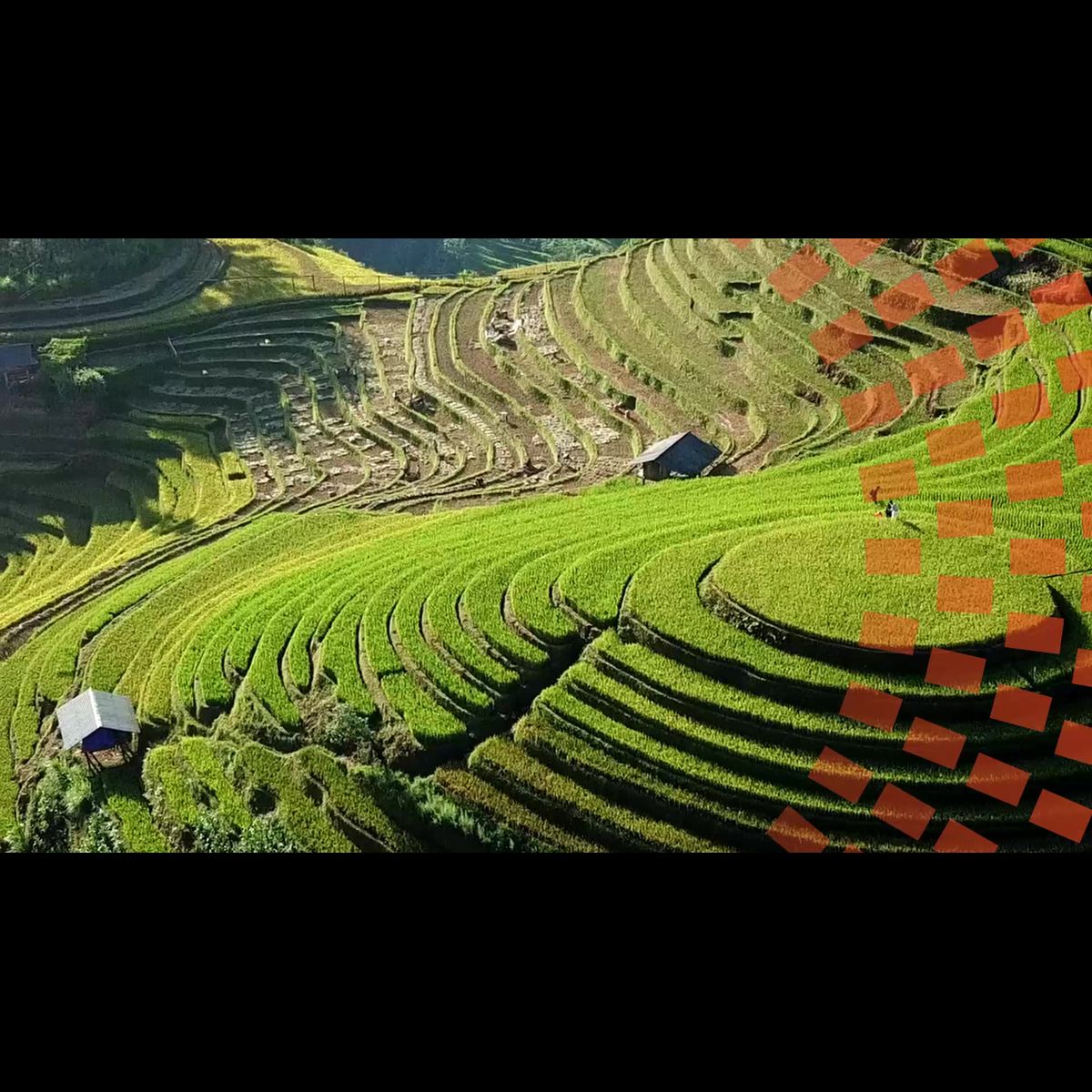 What if justice was the missing ingredient in our food systems?