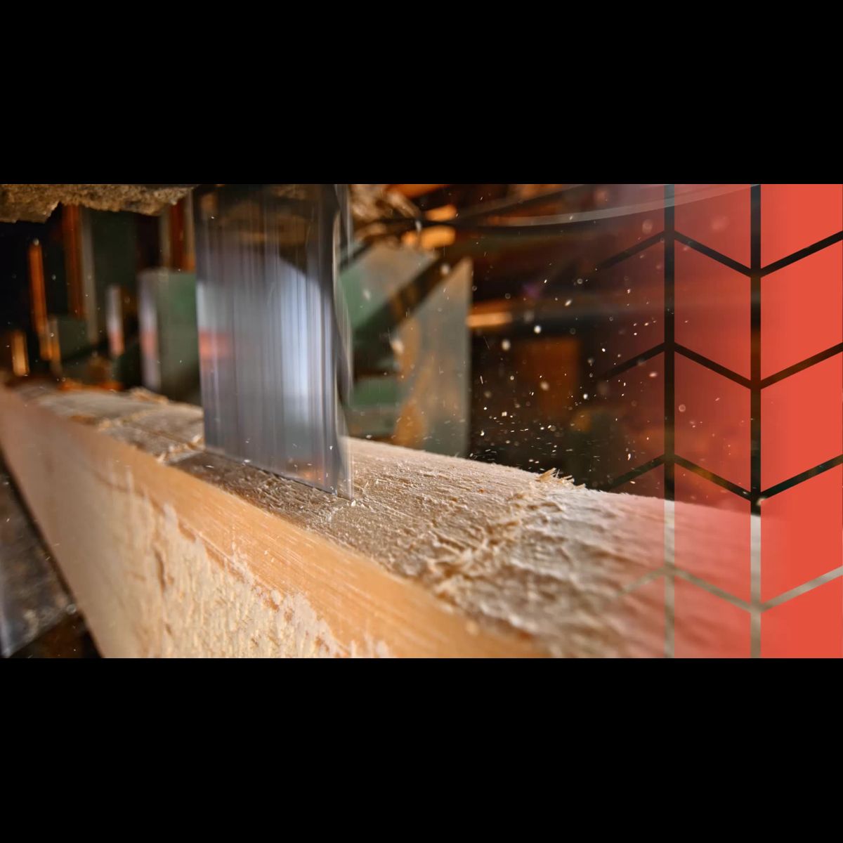 What if sawdust could help forests go further?