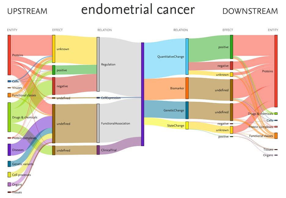 This Sankey diagram was produced from data within Elsevier’s Biology Knowledge Graph and shows relationships among the disease endometrial cancer and associated entities, including drugs and proteins. (Source: EmBiology)