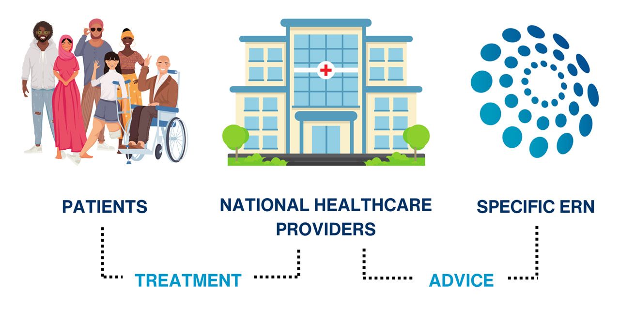 The European Reference Networks (ERNs) are virtual networks connecting healthcare providers, researchers and patients across borders to improve diagnoses and treatment of rare diseases and complex conditions.