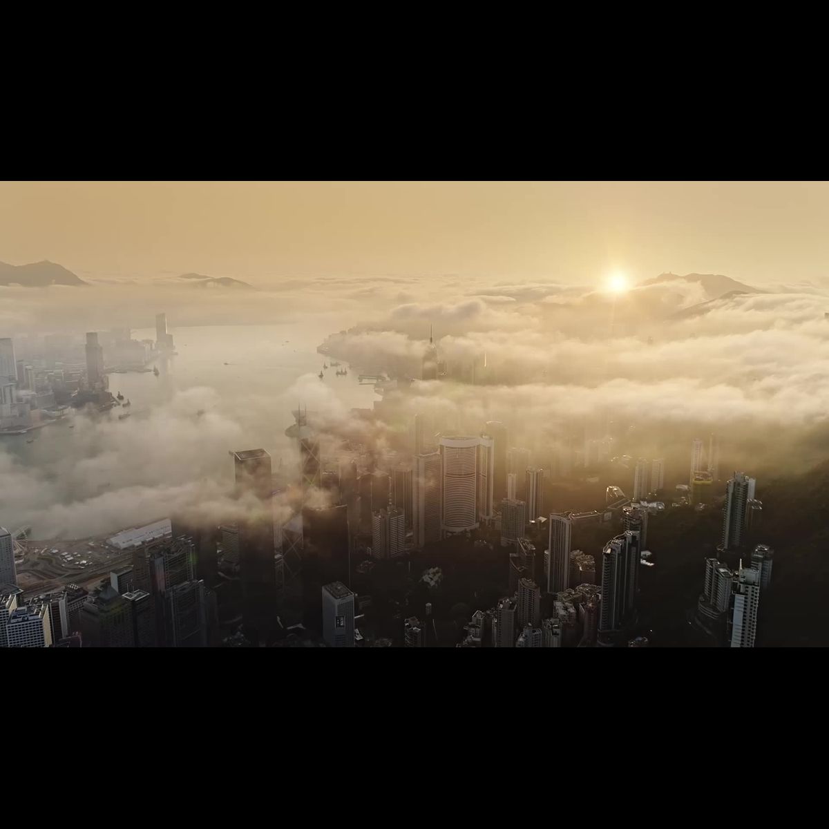 What if the key to neurodegenerative disease lies outside the brain?